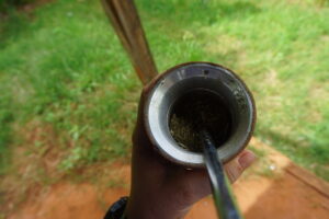 Close up image of a hand holding a Paraguayan guampa preparing to take a sip of terere.